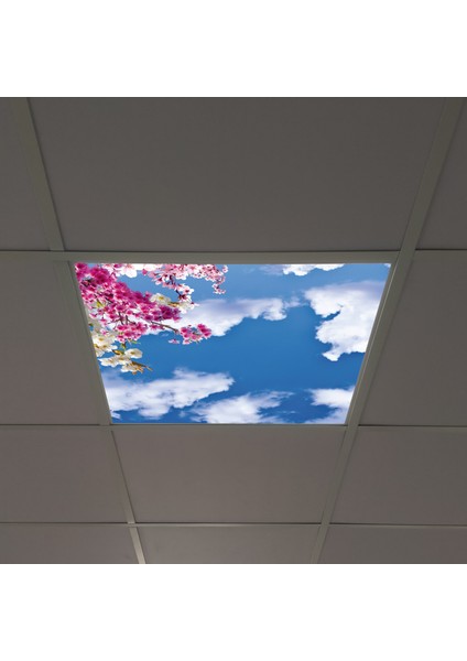 60X60 LED Panel Aydınlatma Armatür Avize Sıva Altı Desenli Tekli 46510186SA