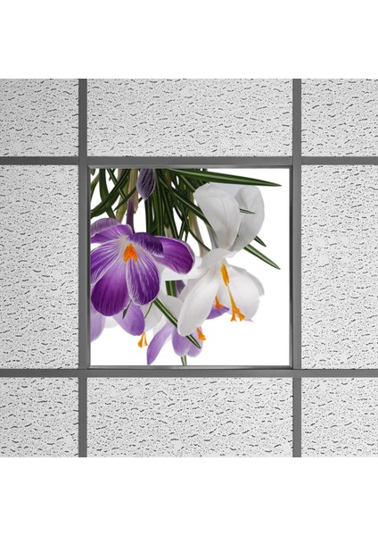 60X60 LED Panel Aydınlatma Armatür Avize Sıva Altı Desenli Tekli 46510258SA