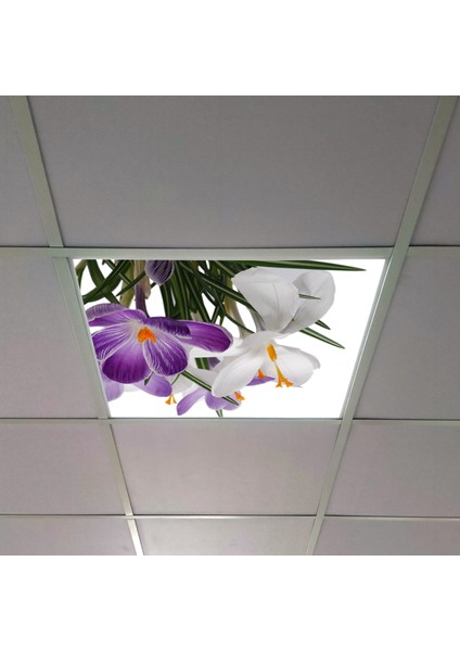 60X60 LED Panel Aydınlatma Armatür Avize Sıva Altı Desenli Tekli 46510258SA