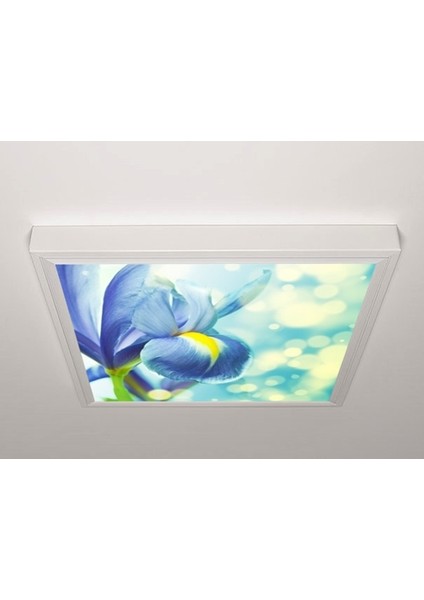 60X60 LED Panel Aydınlatma Armatür Avize Sıva Üstü Desenli Tekli 46510604SU