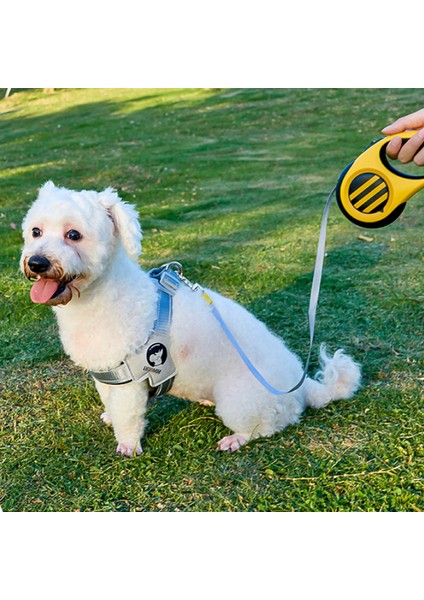 Evcil Hayvan Tasması Aydınlık Köpek Tasması Köpek Tasması 5 Metre Geri Çekilebilir Tasma (Yurt Dışından)