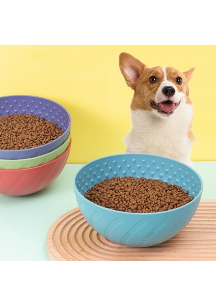 Pet Yalama Kasesi Köpek Kedi Kase Yeme Suluk (Yurt Dışından) fiyatları