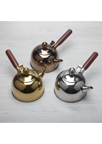 500ML Tek Kolu Su Isıtıcısı Indüksiyon Küçük Kahve Süt Çaydanlık 304 Paslanmaz Çelik Açık Su Kazanı Drinkware Gaz Bronz (Yurt Dışından)
