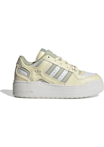 Forum Xlg W