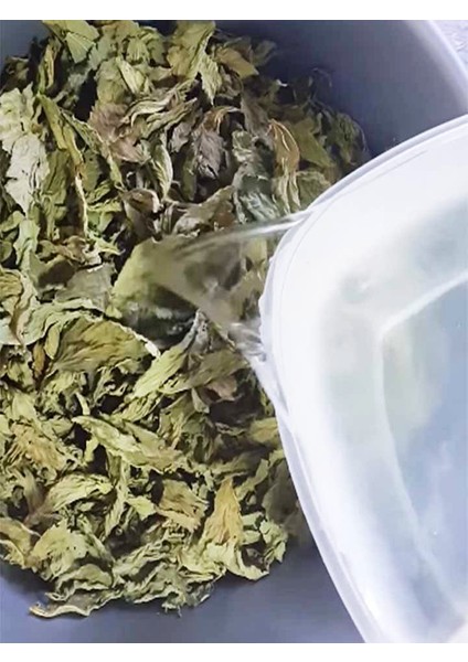 Mulukhiye 200 gr indirimleri