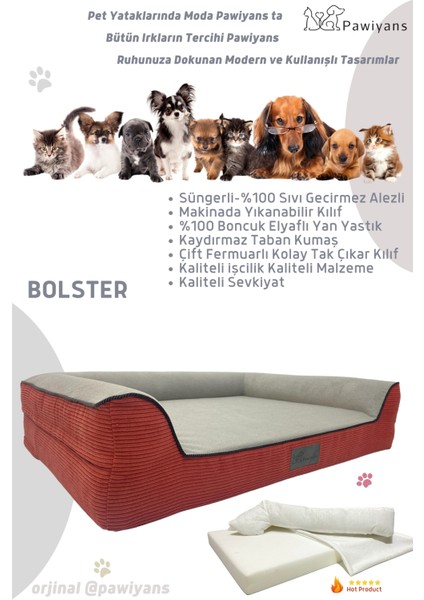 Bolster Üst Kalite Köpek Yatağı 6,5 ve 10CM Süngerli Kılıflı Sıvı Geçirmez Alezli