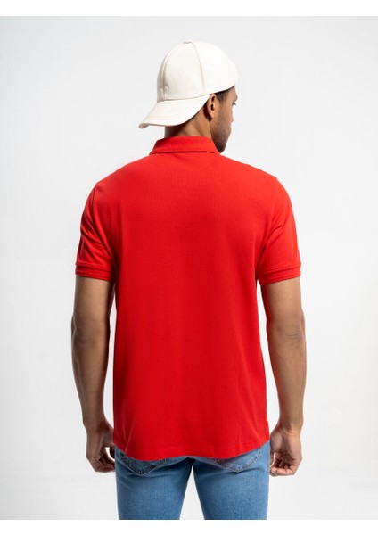 Regular Fit Erkek Polo K.kol modelleri