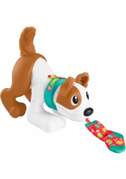 HHH13 Fisher Price, Emeklemeyi ve Saymayı Öğreten Köpekçik