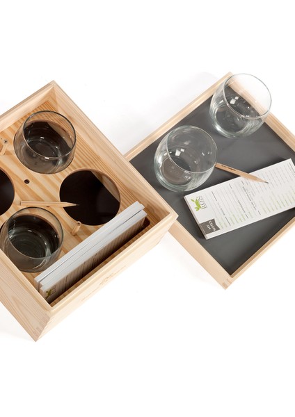 Taster Box Tadım Seti Çam