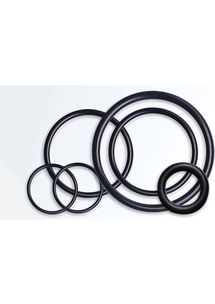 O-Ring Çeşitleri Et Kalınlığı 1mm (10'ar Paketli)