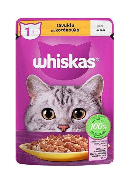 Pouch Jöle Içinde Tavuklu Yetişkin Kedi Konservesi 28 Adet 85 gr