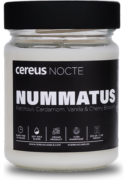 Nocte Nummatus Paçuli & Vanilya Kokulu Soya Mum (210 Gr)