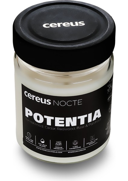 Nocte Potentia Sandal Ağacı Kokulu Soya Mum (210 Gr)