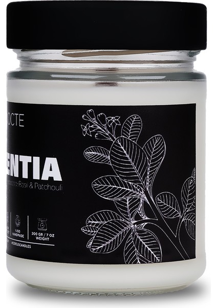 Nocte Potentia Sandal Ağacı Kokulu Soya Mum (210 Gr)