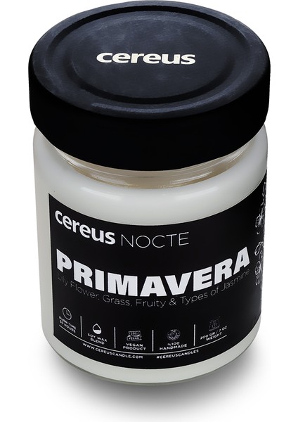 Nocte Primavera Japon Kiraz Çiçeği Kokulu Soya Mum (210 Gr)