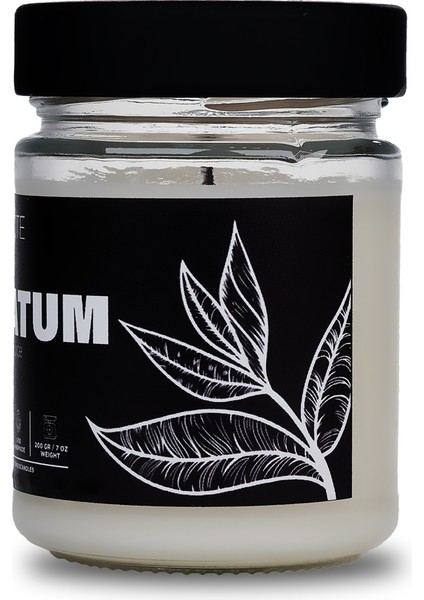 Nocte Libratum Yeşil Çay Kokulu Soya Mum (210 Gr)