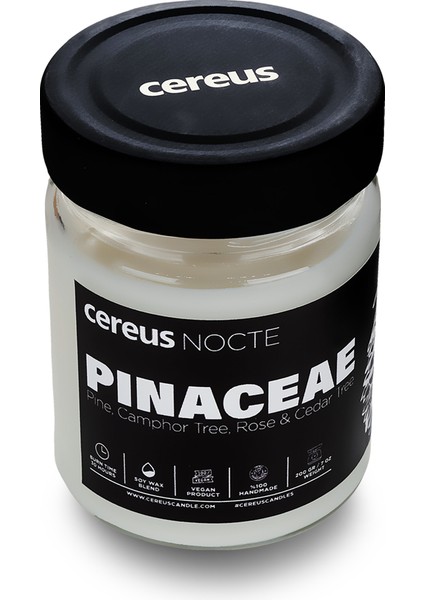 Nocte Pinaceae Çam Kokulu Soya Mum (210 Gr)