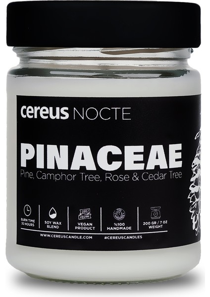 Nocte Pinaceae Çam Kokulu Soya Mum (210 Gr)