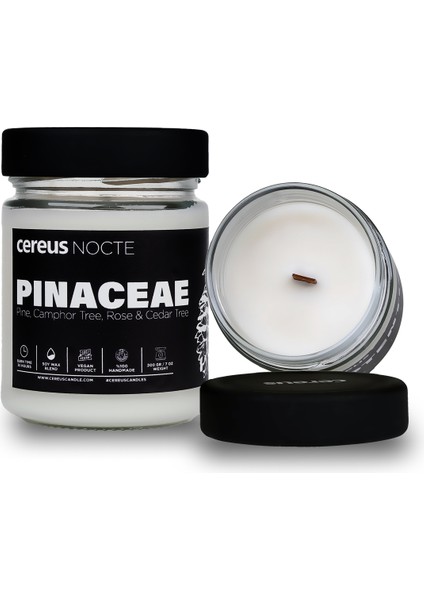 Nocte Pinaceae Çam Kokulu Soya Mum (210 Gr)