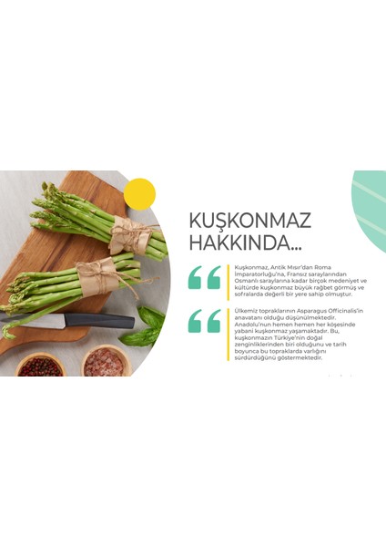 Aspara Gusto Kuşkonmaz Sosu 190 gr