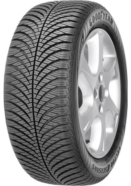 205/55 R17 95V Xl Vector 4Seasons G2 Binek 4 Mevsim Lastiği ( Üretim Yılı: 2023 )