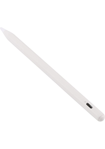 Ipad / iPad Pro (2018 ve Üstü) Için Stylus Çok Renkli (Yurt Dışından)