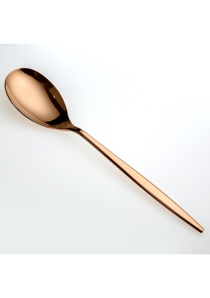 5800 Titanyum Bronz 5 Parça Servis Seti modelleri