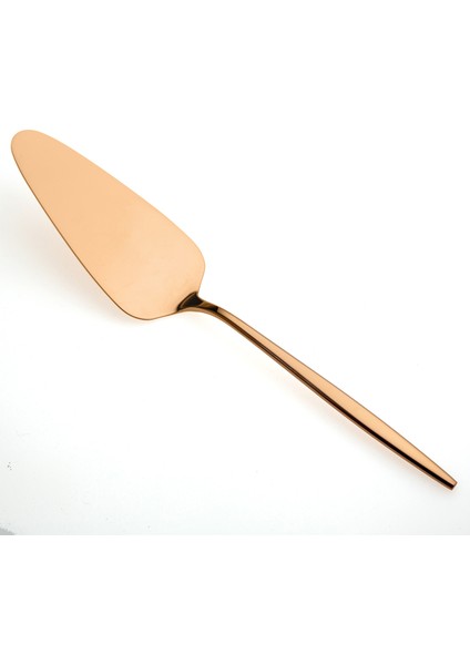 5800 Titanyum Bronz 5 Parça Servis Seti fırsatları