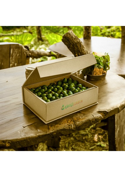 Bebek Avokado 1kg fırsatları