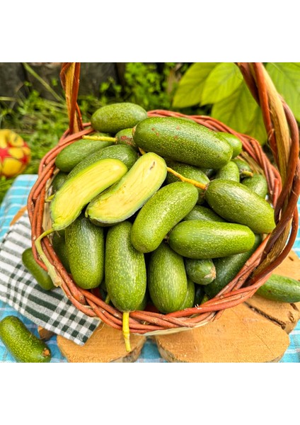 Bebek Avokado 1kg fiyatları