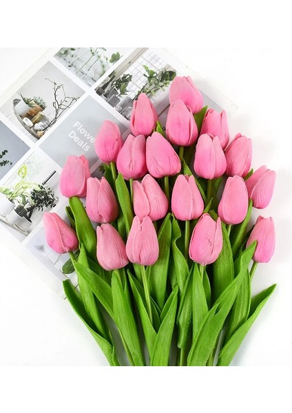 Shenzhen Xin Xin 35 cm Tulip Çiçek Buketi - Pembe (Yurt Dışından)