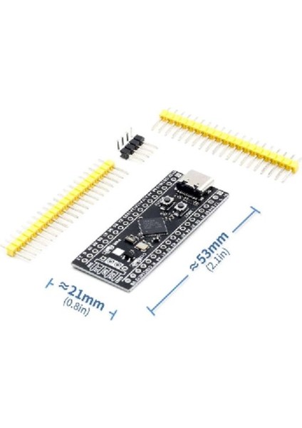 STM32F401 Ccu6 Geliştirdme Kartı
