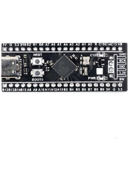 STM32F401 Ccu6 Geliştirdme Kartı
