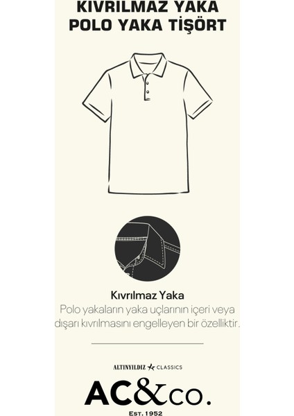 ALTINYILDIZ CLASSICS Erkek Petrol %100 Pamuk Kıvrılmaz Polo Yaka Slim Fit Dar Kesim Tişört