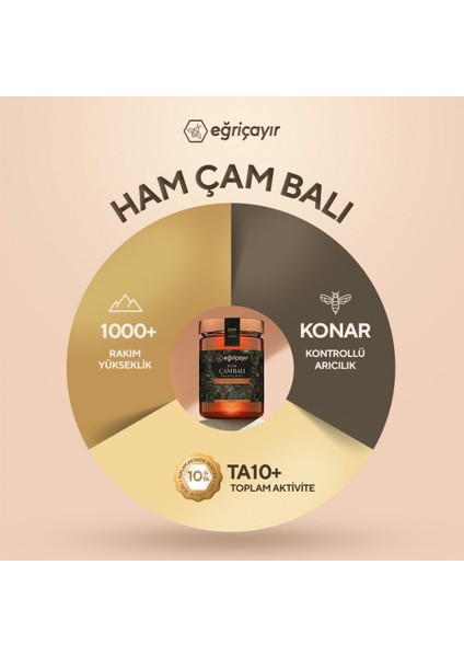 Ham Çam Balı TA10+ 3X850G (Doğal, Hakiki)