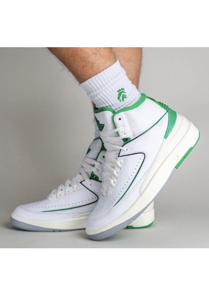 Air Jordan 2 Retro Lucky Green Erkek Basketbol AYAKKABISI-DR8884-103 fiyatları