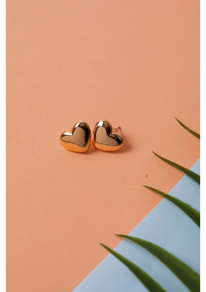 Kadın Kalp Model Bijuteri Küpe