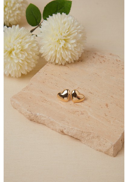 Kadın Kalp Model Bijuteri Küpe fiyatları