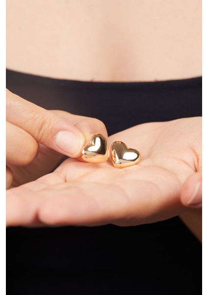 Kadın Kalp Model Bijuteri Küpe fırsatları