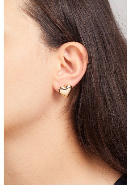 Kadın Kalp Model Bijuteri Küpe indirimleri