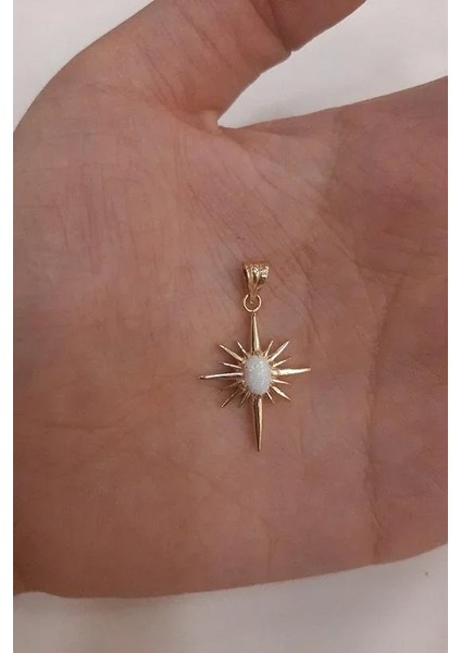 14 Ayar Altın Opal Taşlı Kuzey Yıldızlı Kolye Ucu modelleri