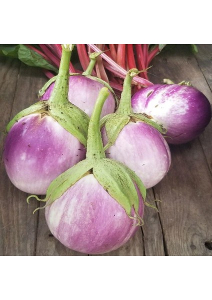 Topak Rosa Bianca Patlıcan Tohumu (15 Tohum)