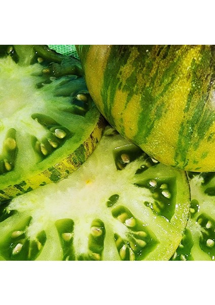 Xanadu Green Goddess Domates Tohumu (15 Tohum) fiyatları