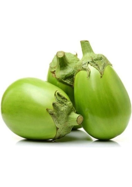 Apple Green Patlıcan Tohumu (15 Tohum)