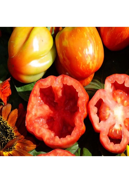 Yüksek Aromalı Striped Cavern Çizgili Domates Tohumu (15 Tohum)