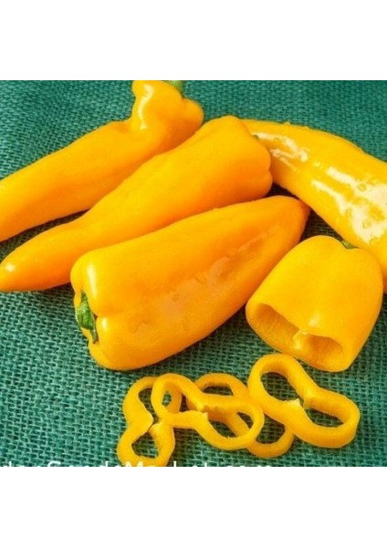 Tatlı Öküz Boynuzlu Biber Tohumu (15 Adet)