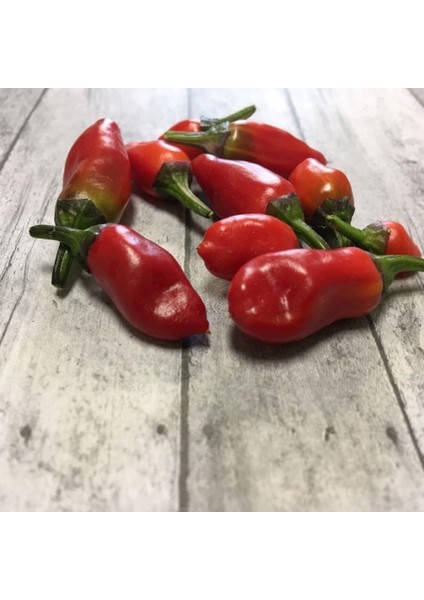 Jigsaw Pepper Tohumu (15 Tohum)