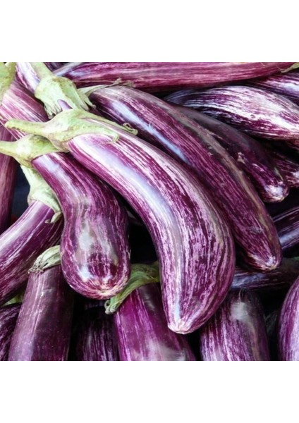 Long Variegated Patlıcan Tohumu (15 Tohum)