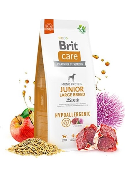 Hypo-Allergenic Kuzu Etli Büyük Irk Yavru Köpek Maması 12 kg fiyatları