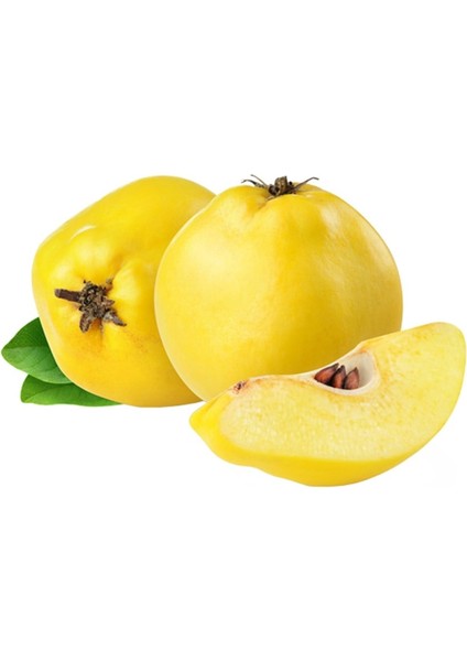 Ayva (1 kg ) fiyatları